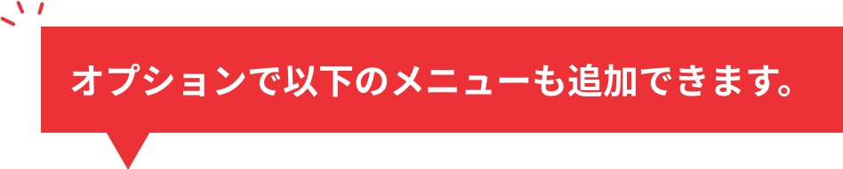 オプションタイトル